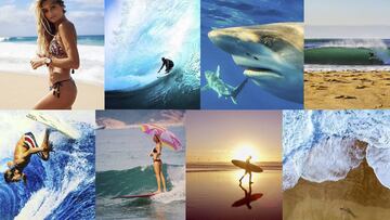 Best Instagram accounts for surf lovers.