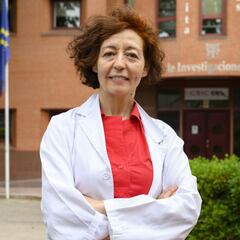 Una científica del CSIC señala qué cambiaría "radicalmente" la evolución de la pandemia