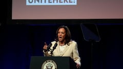 Who is Kamala Harris? Biden’s vice-president who could be the next candidate for the Democratic Party