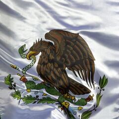 Bandera de México: ¿por qué es de color verde, blanco y rojo y qué significa el Águila Real?