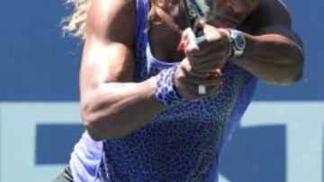 Serena Williams derrot&oacute; a Andrea Petkovic.