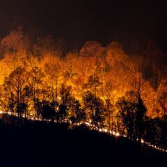 El papel del cazador en los incendios