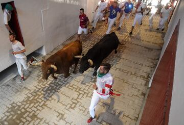 Imágenes del séptimo encierro de los Sanfermines 2022. La ganadería encargada de los toros de este séptimo encierro será la de Victoriano del Río, una de las más importantes del panorama taurino nacional.