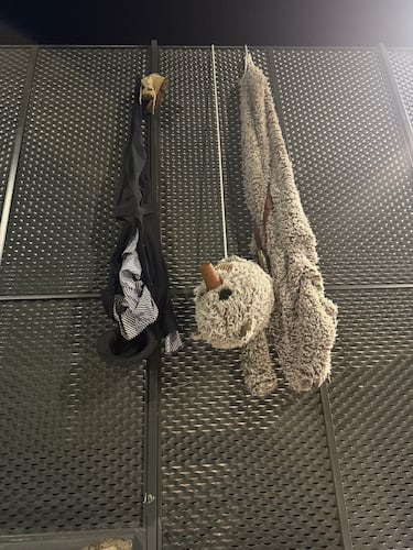 Ultraligera: el futuro es suyo (y el presente ya también)