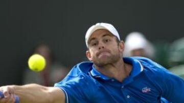Roddick espera a Djokovic y Kavcic será el rival de Ferrer