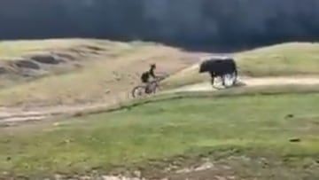 A cyclist taking part in the Rock Cobbler trial in California decided to take a short cut but didn&#039;t reckon with a territorial bull he tried to cycle past.
