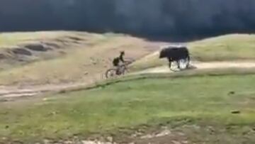 A cyclist taking part in the Rock Cobbler trial in California decided to take a short cut but didn't reckon with a territorial bull he tried to cycle past.