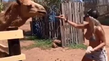 El delantero de la Selección argentina e Inter disfruta del descanso junto a su pareja antes de que comience la temporada. Mirá las mejores fotos y videos.