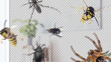 Mosquitera para ventana