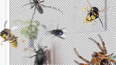El mosquito firme de Amazon es este: esto no requiere instalación y cuesta menos de 15 euros