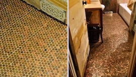 Un hombre se tira dos días para pegar 9.700 monedas en el suelo del baño con sólo un propósito: “Me llevó mucho tiempo”