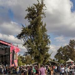 Corona Capital 2021: cartel por días, aforos y cómo comprar boletos