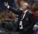 Del Bosque: "Hay un sector que tiene un espíritu destructivo"