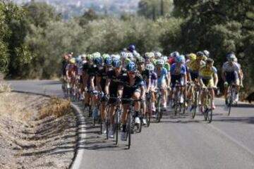 El pelotón durante la cuarta etapa de La Vuelta Ciclista a España 2014 en su 69 edición, que ha comenzado en Mairena del Alcor (Sevilla) y terminado en Córdoba, con una distancia de 164,7 kilómetros.