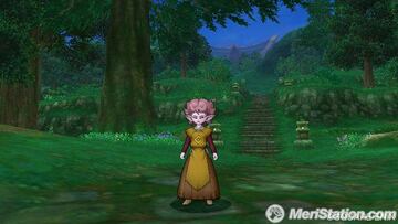 Captura de pantalla - dragon_quest_x_37.jpg