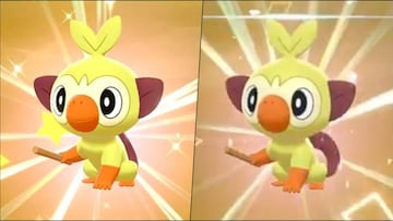 Pokémon Espada y Escudo | Grookey Shiny y Grookey Shiny "raro"