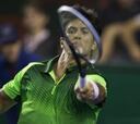 Verdasco derrota a Young y caen Andújar y García-López