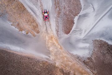 PETERHANSEL Stephane, CASTERA David