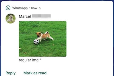 WhatsApp ya te muestra las fotos en las notificaciones de Android Pie