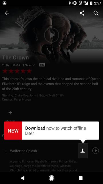 La nueva funci&oacute;n de descarga de contenido dentro de la app de Netflix.