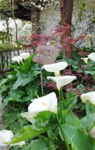 Los jardines secretos ms bonitos de Espa?a