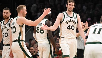 BOSTON, MASSACHUSETTS - APRIL 14: Sam Hauser #30 of the Boston Celtics high-fives Luke Kornet #40 during a timeout during the second quarter against the Washington Wizards at the TD Garden on April 14, 2024 in Boston, Massachusetts.