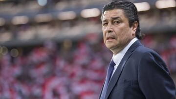 Tena pidió referencias de Peláez en Cruz Azul