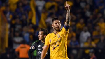 Tigres - Necaxa en vivo: Liga MX, jornada 7 del Clausura 2019