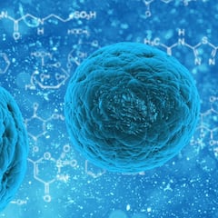 Henipavirus: qué es el nuevo virus que ya contagió a 35 personas en China