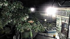 Imágenes de Resident Evil Outbreak