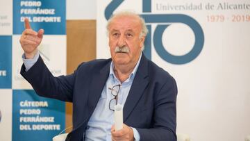 Del Bosque: "Ver a Espa?a en San Mam¨¦s va a ser un privilegio"