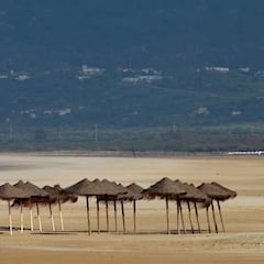 El coronavirus no desaparecerá con la llegada del verano