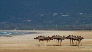El coronavirus no desaparecerá con la llegada del verano