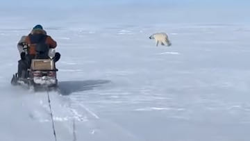 Oso polar va hacia un piloto de moto de nieve en Rusia.