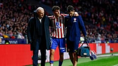 Todas las bajas del Atlético - Tottenham: lesionados, sancionados y quién se pierde el partido de Champions