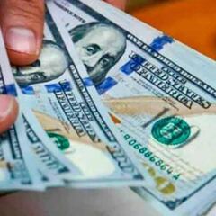 Cepo Dólar Ahorro: a qué precio llegará el dólar a final de año y en 2021