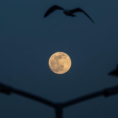 Luna del Lobo 2023: a qué hora es, cuál es su significado y cómo ver la luna llena de enero