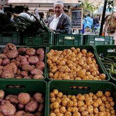 Coronavirus Colombia: ¿qué ayudas y subsidios tiene el Gobierno para el campo?