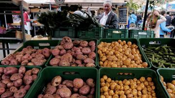 Coronavirus Colombia: ¿qué ayudas y subsidios tiene el Gobierno para el campo?