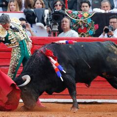 Entra en vigor la Ley que prohibe corridas de toros con violencia en CDMX, así quedan las nuevas reglas