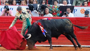 Entra en vigor la Ley que prohibe corridas de toros con violencia en CDMX, así quedan las nuevas reglas