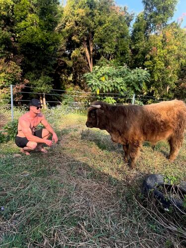 Los deportistas y famosos en las Redes Sociales