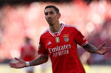 Soccer Football - Primeira Liga - Benfica v Arouca - Estadio da Luz, Lisbon, Portugal - May 12, 2024 Benfica's Angel Di Maria celebrates scoring a goal before it is disallowed following a referral to VAR REUTERS/Pedro Nunes