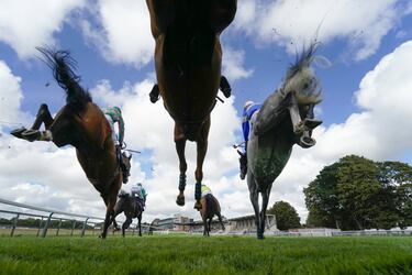 El hipódromo de Fontwell Park, famoso por su recorrido de vallas ovalado, ha retomado el protagonismo de
las carreras de caballos en West Sussex (inglaterra). En la imagen, varios jinetes y sus monturas saltan uno de
los obstáculos a su paso por las tribunas vacías de público, ya que las carreras se celebran a puerta cerrad