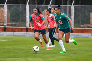 Luego de la victoria ante Paraguay, la Selección Femenina de Brasil volvió a trabajos de campo en la cancha de la Universidad Industrial de Santander, esta vez con miras a la gran final de la Copa América Femenina ante Colombia.