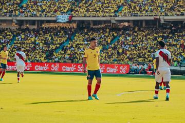 La Selección Colombia perdió 0-1 con la Selección Perú en Barranquilla por la decimoquinta jornada de las Eliminatorias Sudamericanas.