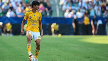 J&uuml;rgen Damm, Tigres