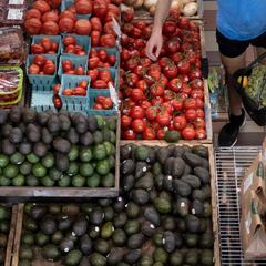 What are the requirements to apply for food stamps?