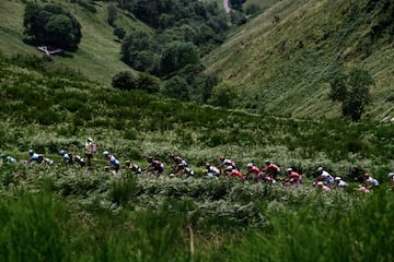 El pelotn asciende por el Col d'Aspin.
