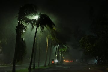 Las palmeras se balancean en medio de fuertes vientos y lluvias provocadas por la tormenta tropical Helene, en Cancún.